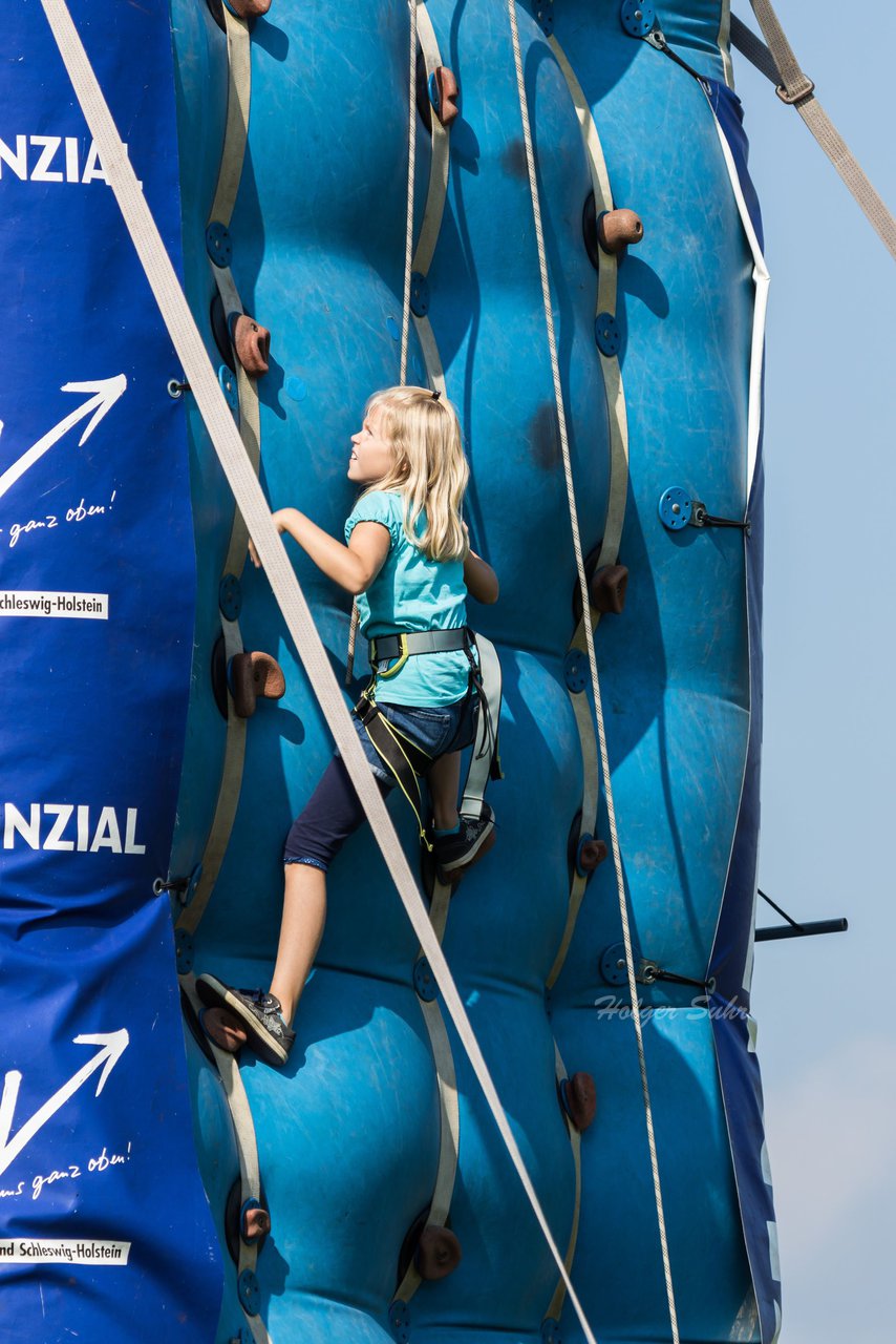 Bild 450 - Vogelschiessen